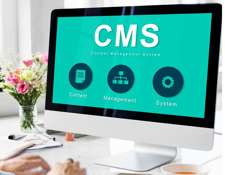 CMS Development