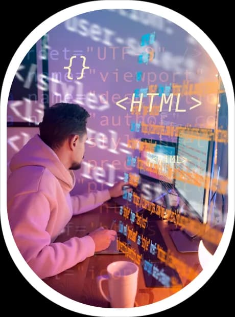 Expert Web Design & Development